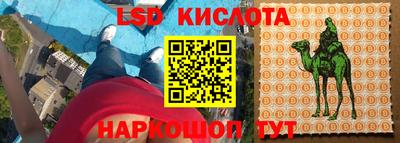 индика Партизанск