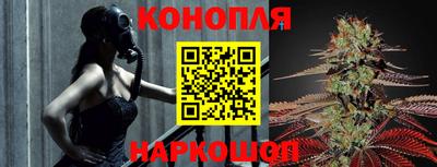 индика Партизанск