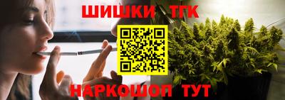индика Партизанск