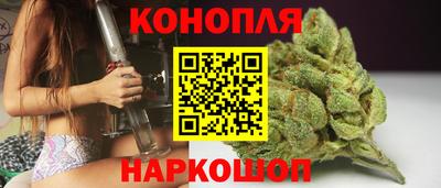 индика Партизанск